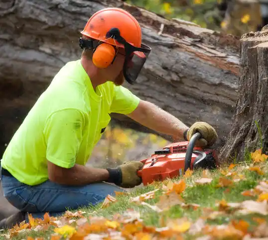 tree services Pataskala